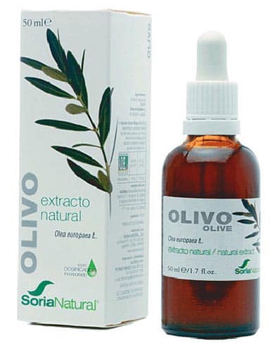extracto de olivo