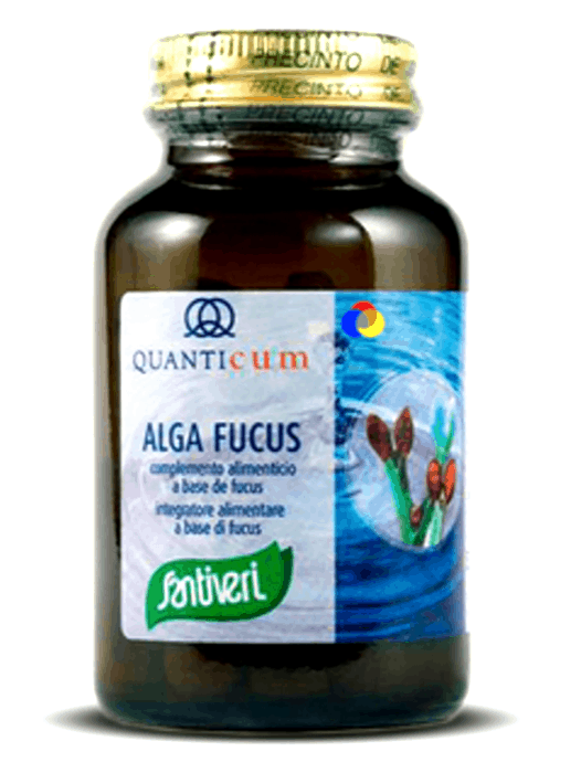Alga Fucus