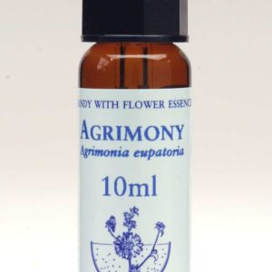 Agrimony Flor de Bach Healing Herbs