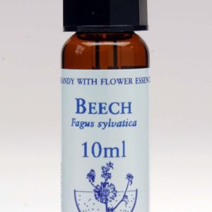 Beech Flor de Bach Healing Herbs