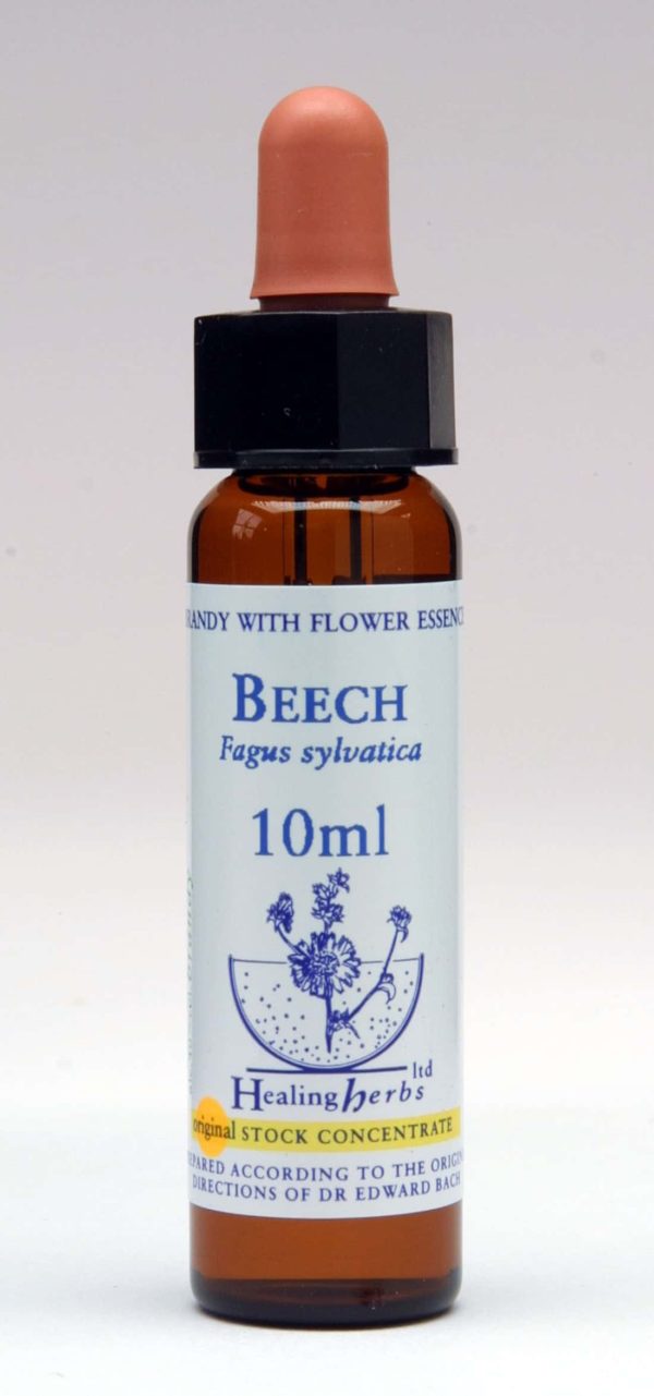 Beech Flor de Bach Healing Herbs