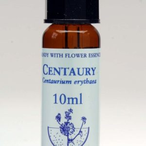 Centaury Flor de Bach Healing Herbs