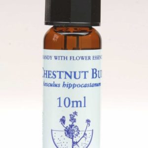 Chestnut Bud Flor de Bach Healing Herbs