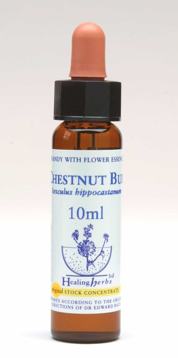Chestnut Bud Flor de Bach Healing Herbs