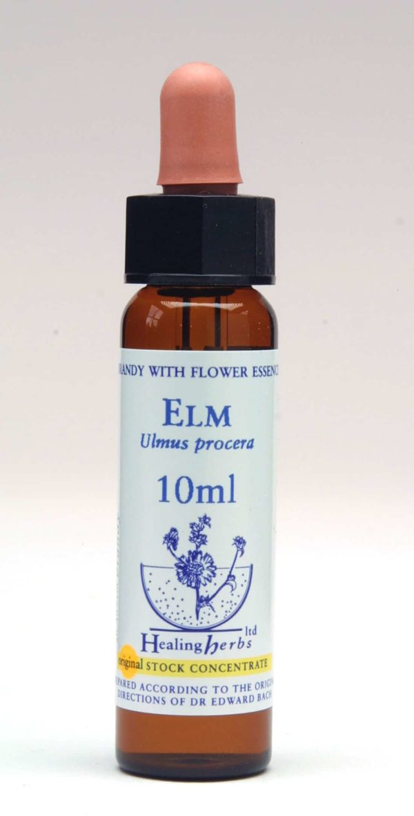 Elm Flor de Bach Healing Herbs