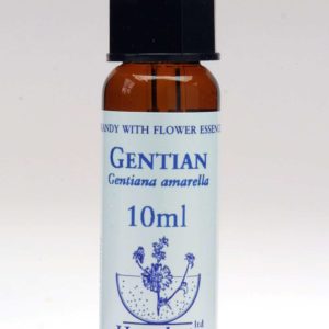 Gentian Flor de Bach Healing Herbs