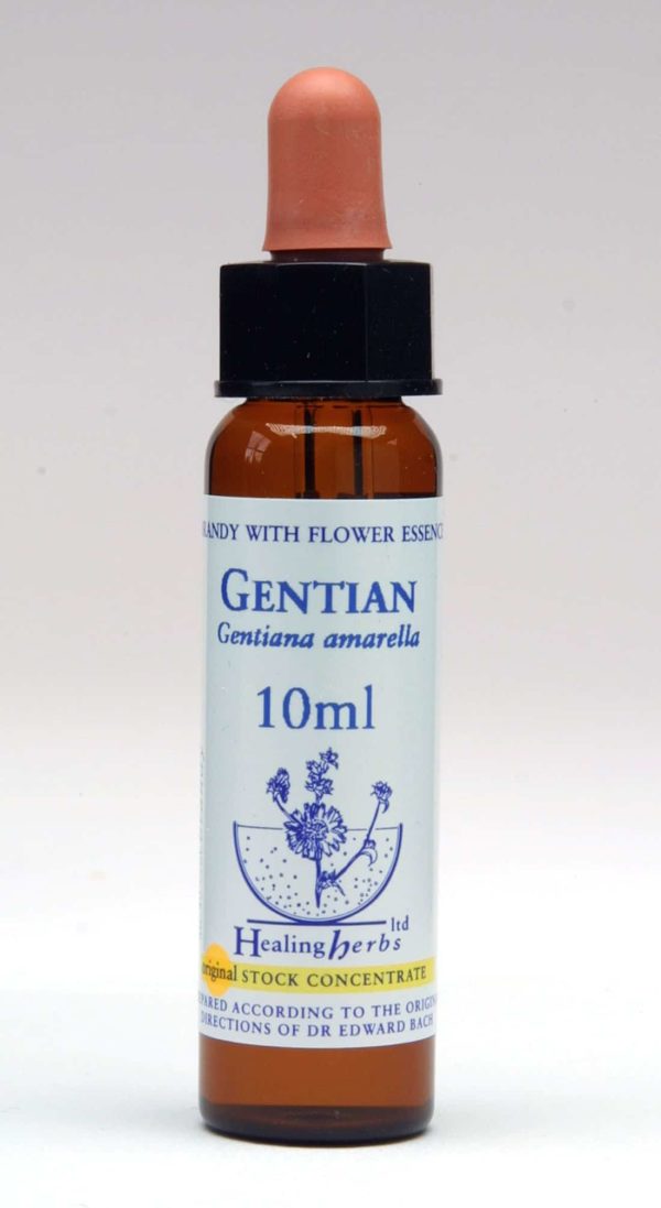 Gentian Flor de Bach Healing Herbs