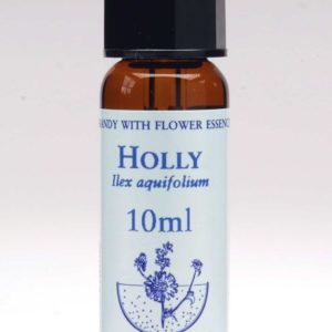 Holly Flor de Bach Healing Herbs