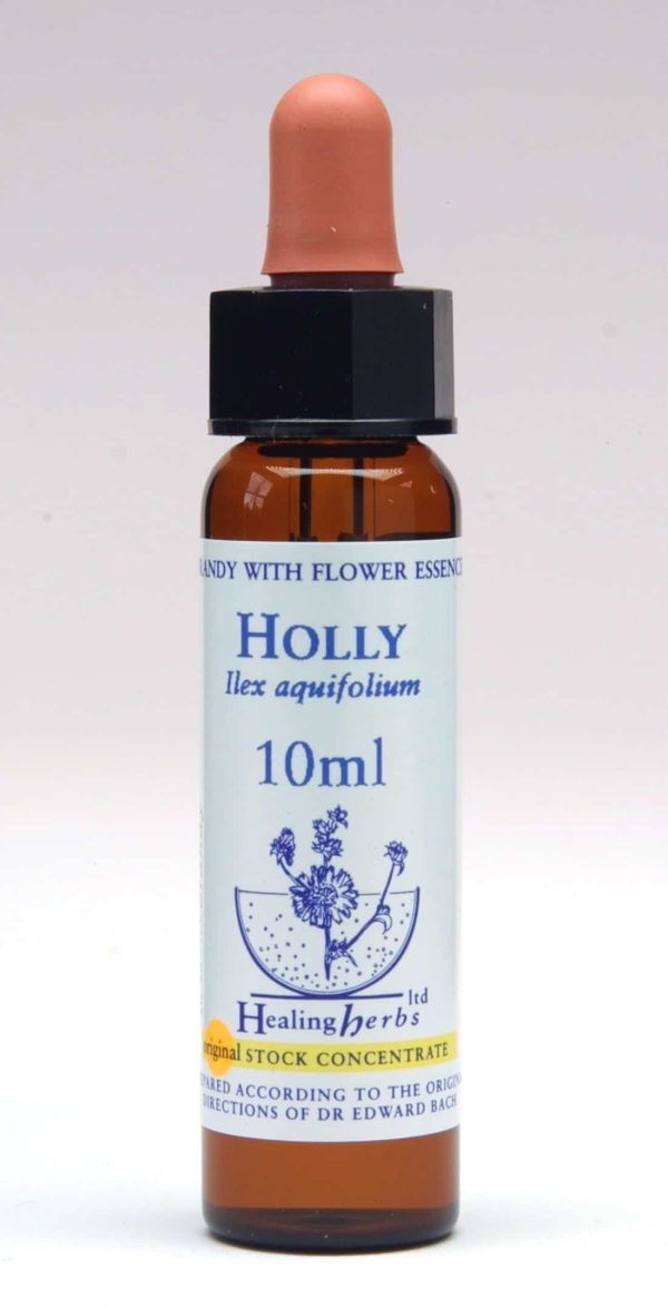 Holly Flor de Bach Healing Herbs