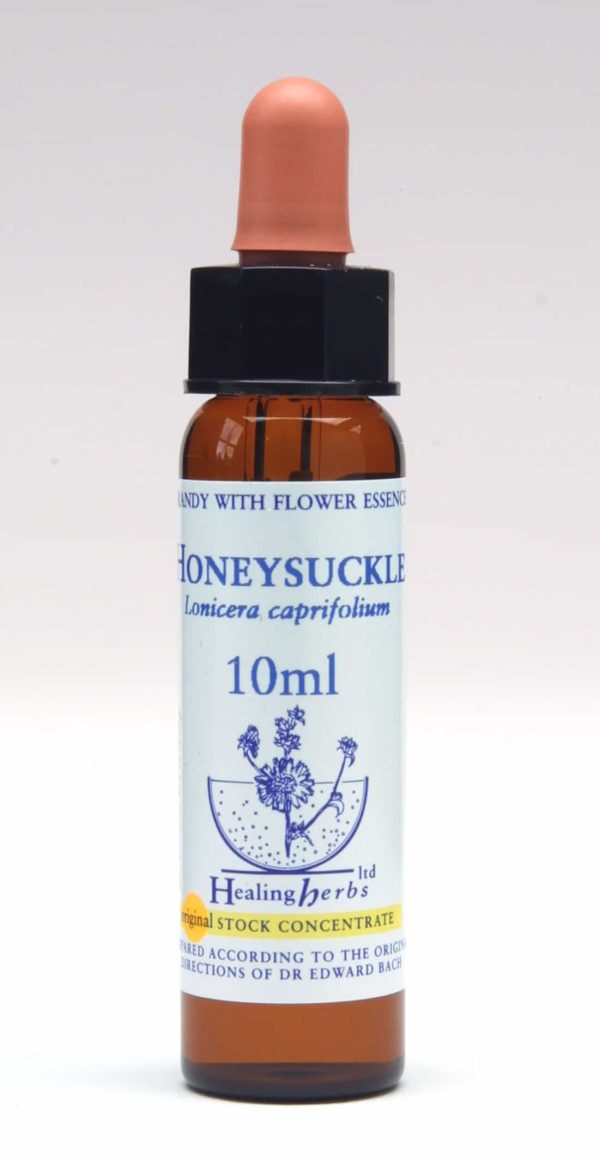 Honeysuckle Flor de Bach Healing Herbs