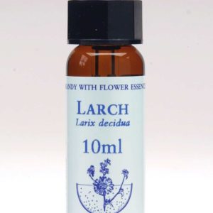 Larch Flor de Bach Healing Herbs