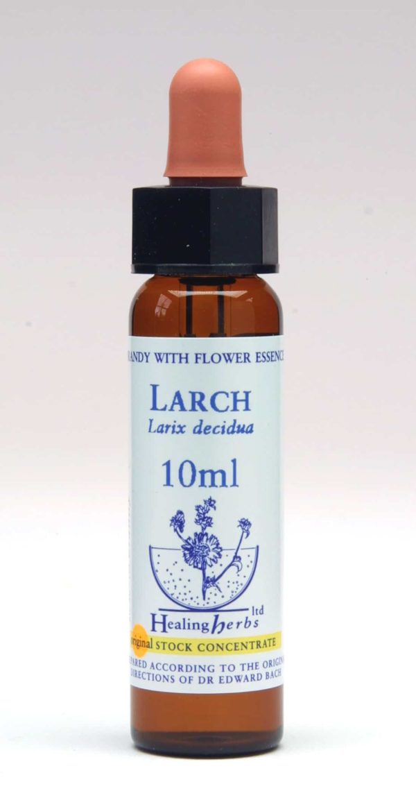 Larch Flor de Bach Healing Herbs