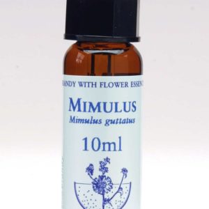 Mimulus Flor de Bach Healing Herbs