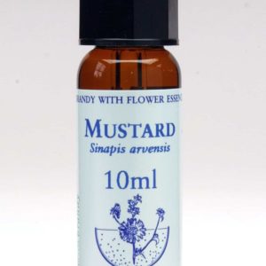 Mustard Flor de Bach Healing Herbs