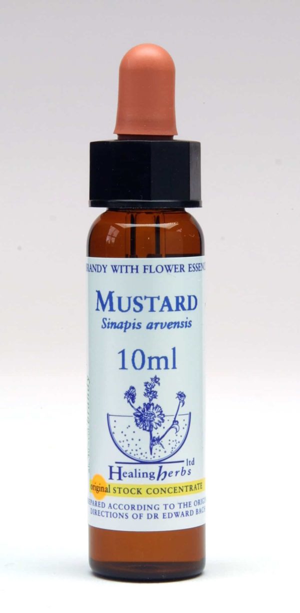 Mustard Flor de Bach Healing Herbs