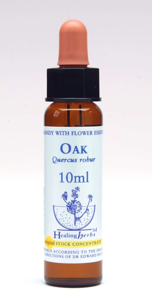 Oak Flor de Bach Healing Herbs