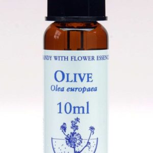 Olive Flor de Bach Healing Herbs