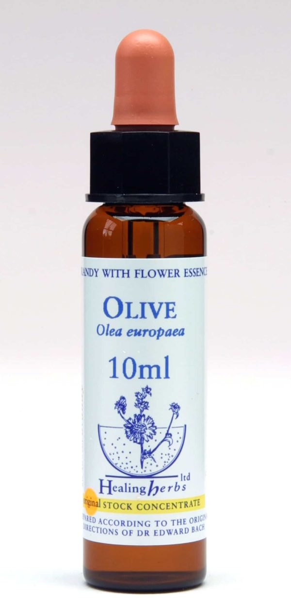 Olive Flor de Bach Healing Herbs