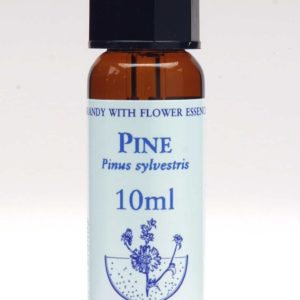 Pine Flor de Bach Healing Herbs