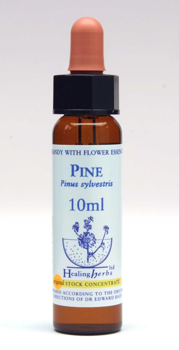 Pine Flor de Bach Healing Herbs