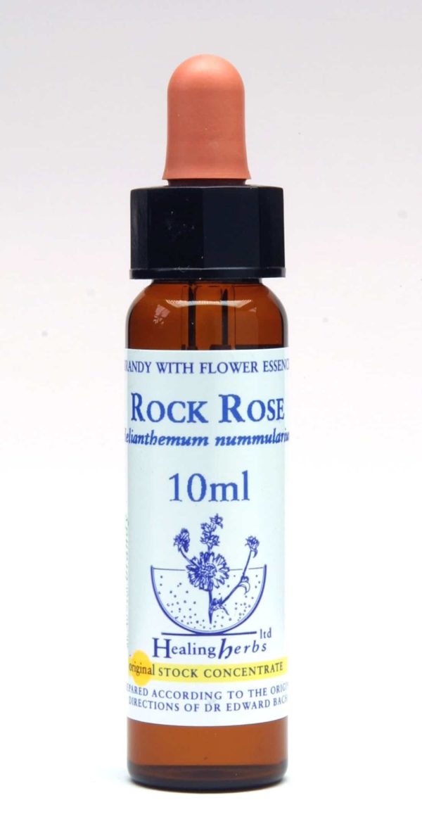 Rock Rose Flor de Bach Healing Herbs