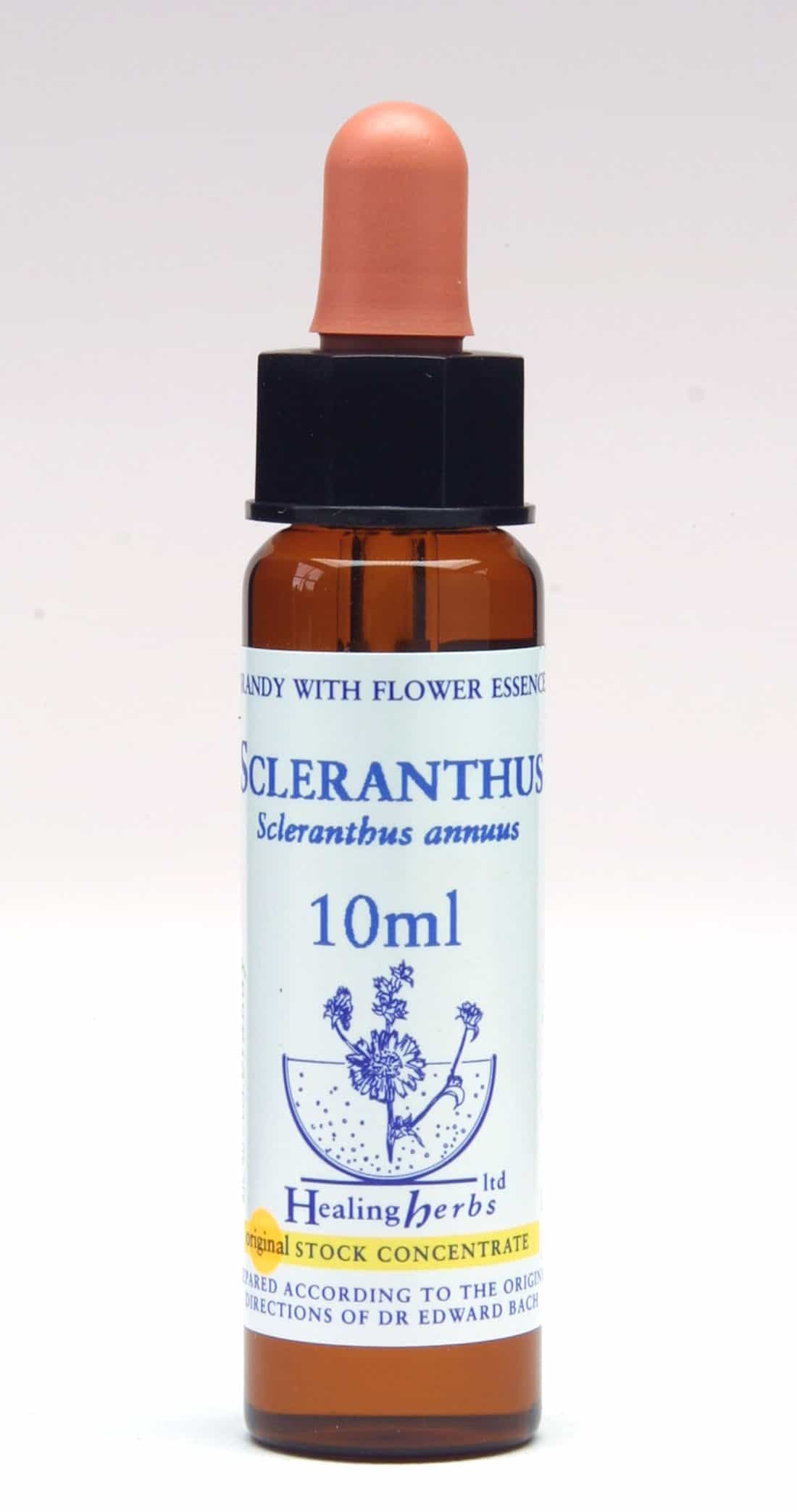 Scleranthus Flor de Bach Healing Herbs