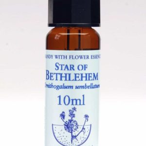 Star of Bethlehem Flor de Bach Healing Herbs