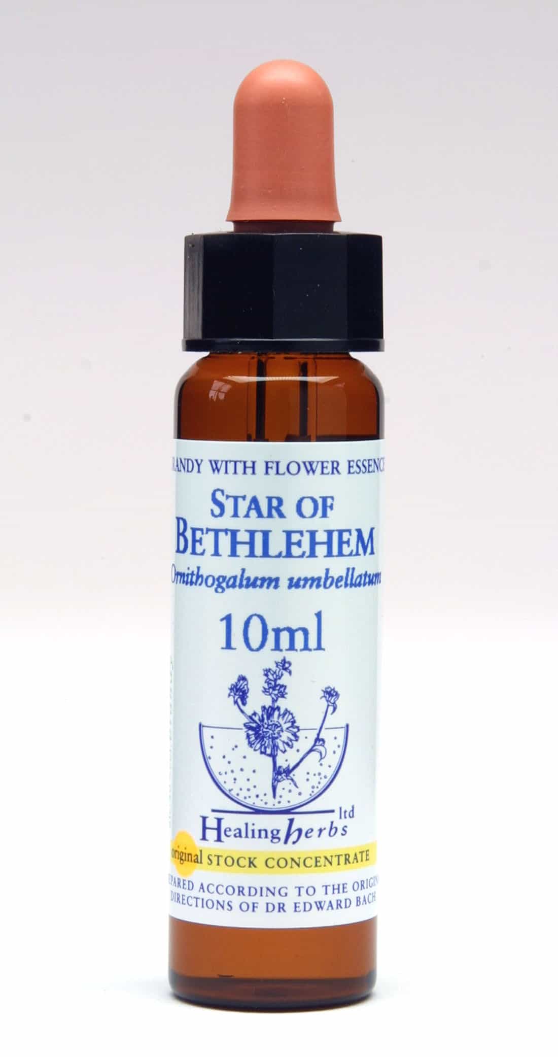 Star of Bethlehem Flor de Bach Healing Herbs