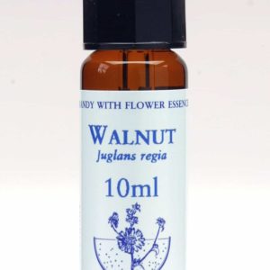 Walnut Flor de Bach Healing Herbs