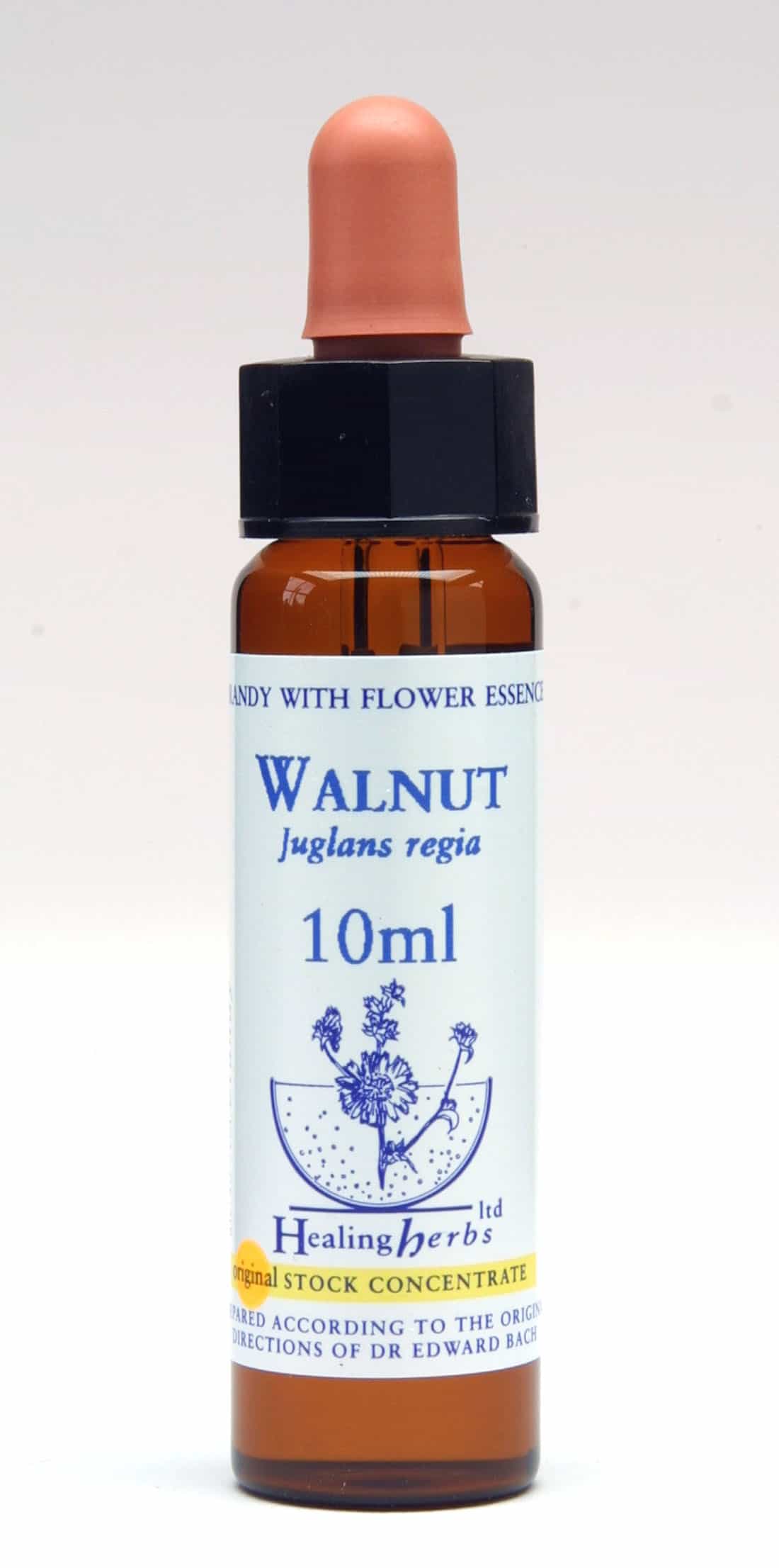 Walnut Flor de Bach Healing Herbs