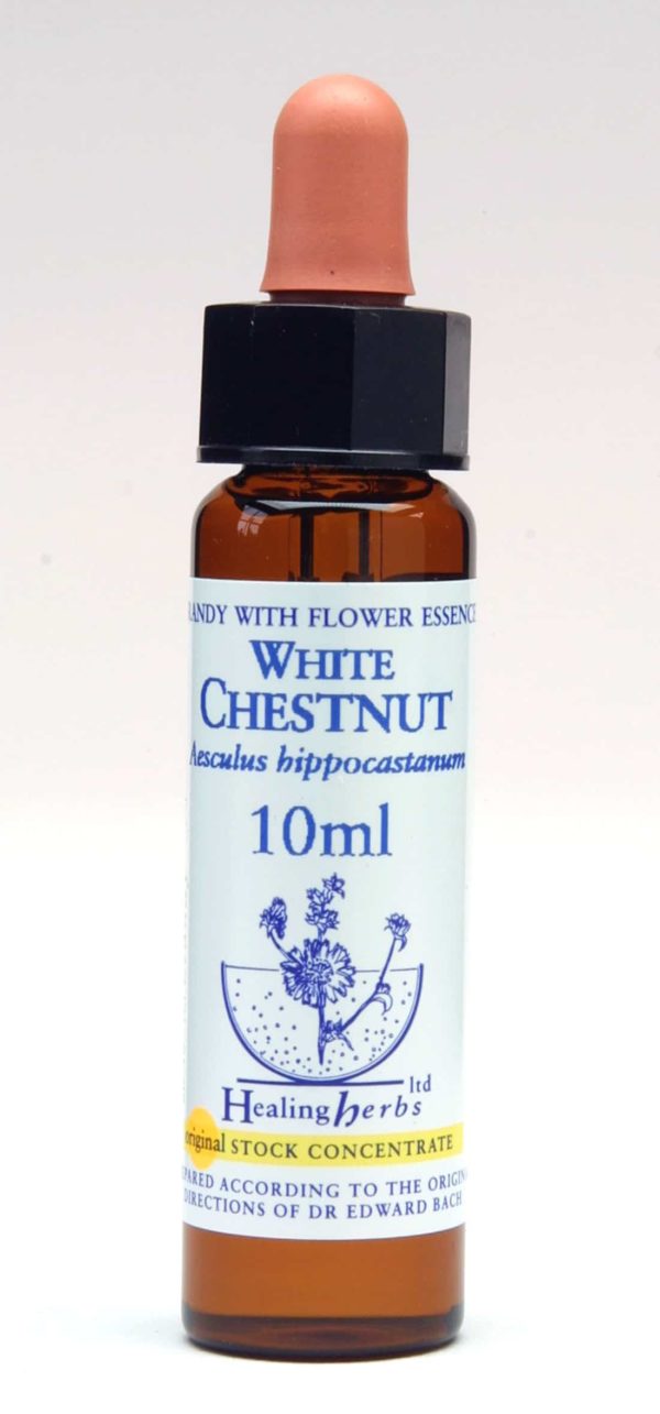 White Chestnut Flor de Bach Healing Herbs