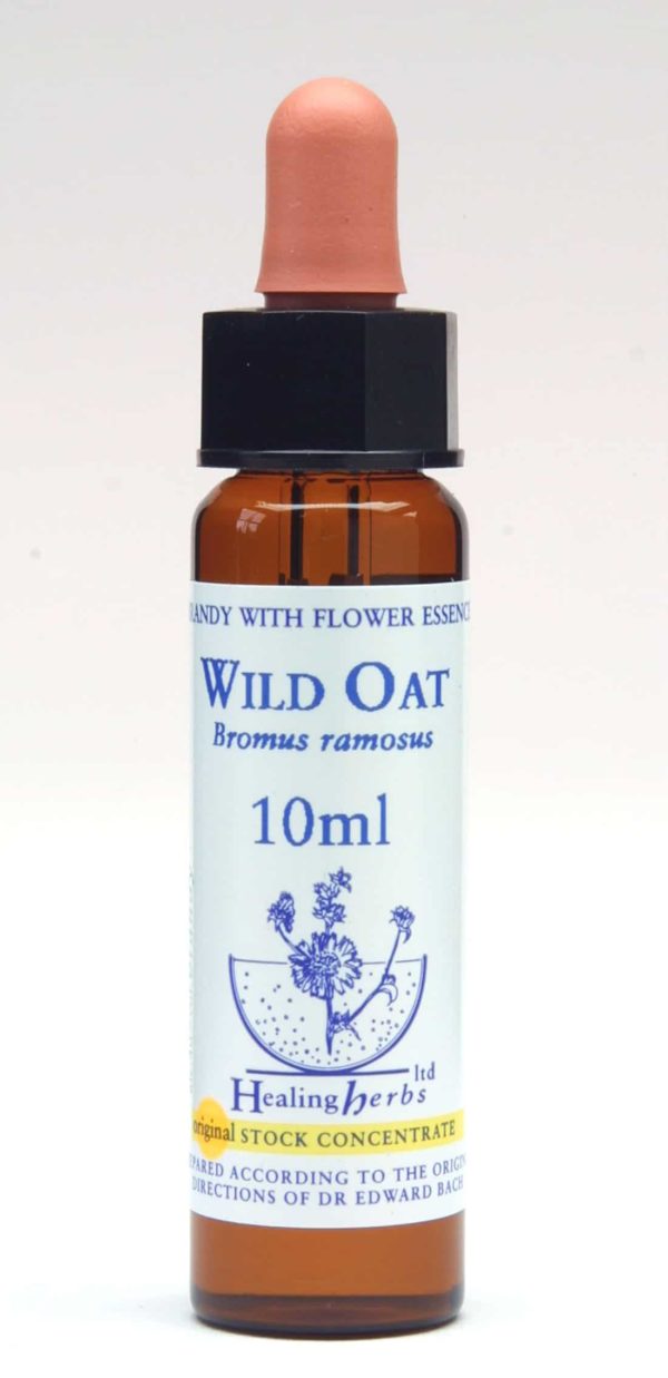 Wild Oat Flor de Bach Healing Herbs