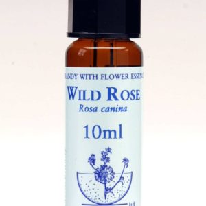 Wild Rose Flor de Bach Healing Herbs