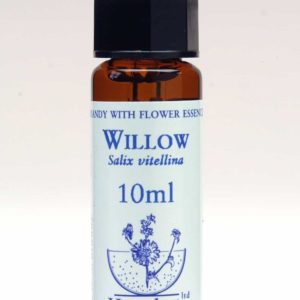 Willow Flor de Bach Healing Herbs