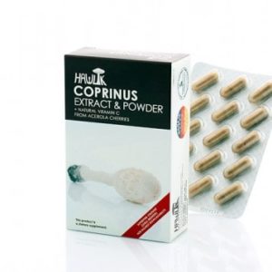 Coprinus (Coprinus comatus) COPRINUS de Hawlik cápsulas