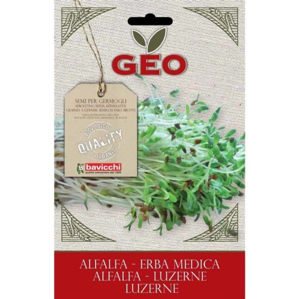 semillas de alfalfa geo