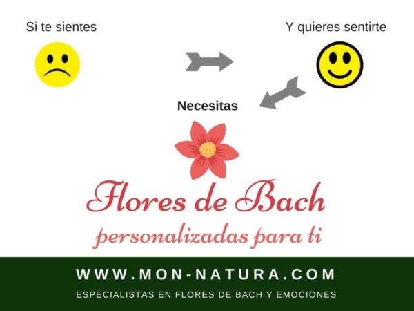 flores de bach personalizadas para ti