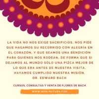 Frases del Dr. Edward Bach