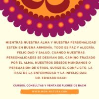 Frases del Dr. Edward Bach