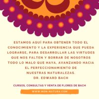 Frases del Dr. Edward Bach