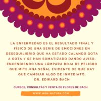 Frases del Dr. Edward Bach