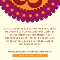 Frases del Dr. Edward Bach