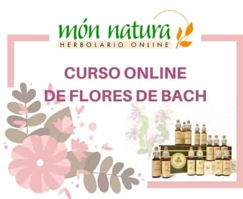 curso online de flores de Bach