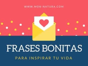 frases bonitas de amor