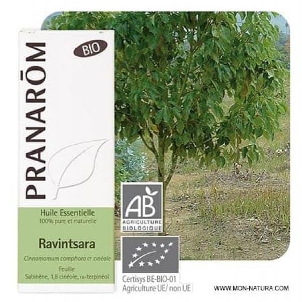 ravintsara aceite esencial bio pranarom