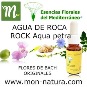 AGUA DE ROCA_Bach