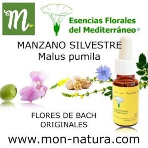 MANZANO SILVESTRE_Bach