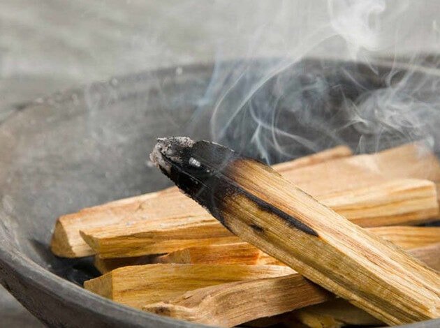 incienso de palo santo propiedades para la salud